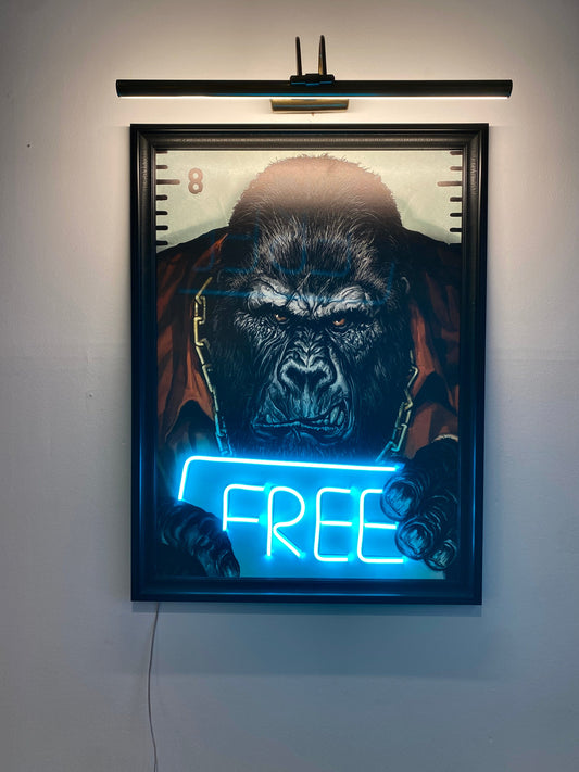 King Unchained – “FREE”